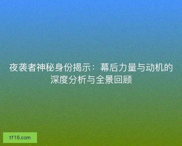 夜袭者神秘身份揭示：幕后力量与动机的深度分析与全景回顾