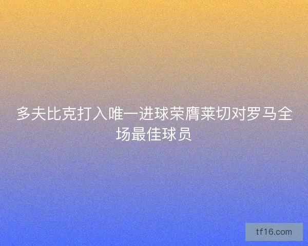多夫比克打入唯一进球荣膺莱切对罗马全场最佳球员