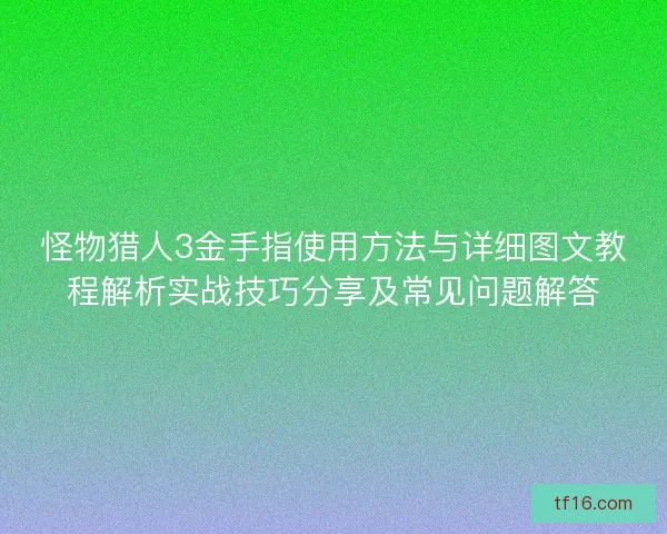 怪物猎人3金手指使用方法与详细图文教程解析实战技巧分享及常见问题解答