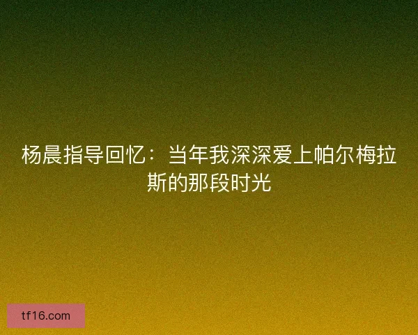 杨晨指导回忆：当年我深深爱上帕尔梅拉斯的那段时光