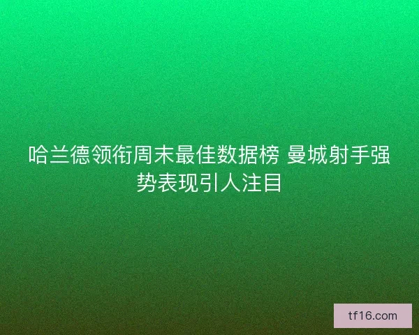 哈兰德领衔周末最佳数据榜 曼城射手强势表现引人注目