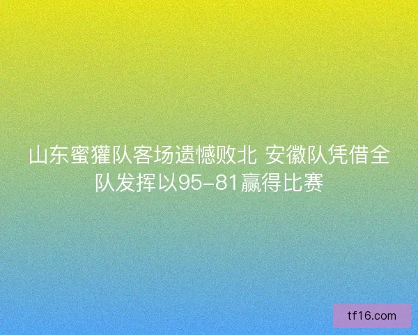 山东蜜獾队客场遗憾败北 安徽队凭借全队发挥以95-81赢得比赛