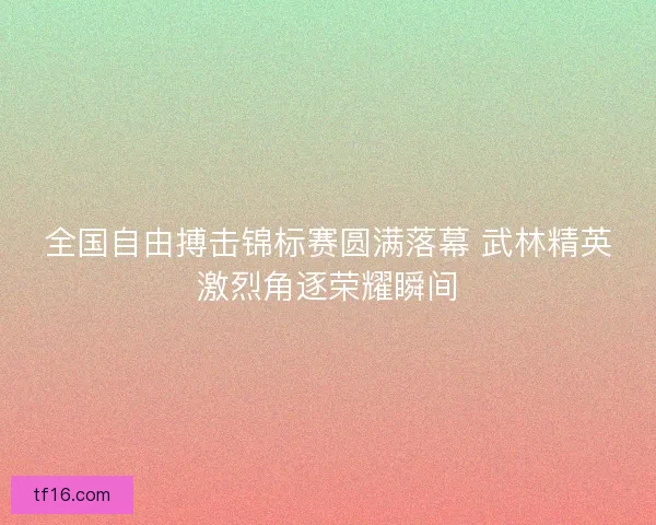 全国自由搏击锦标赛圆满落幕 武林精英激烈角逐荣耀瞬间