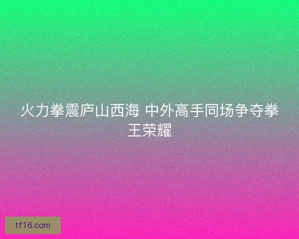 火力拳震庐山西海 中外高手同场争夺拳王荣耀
