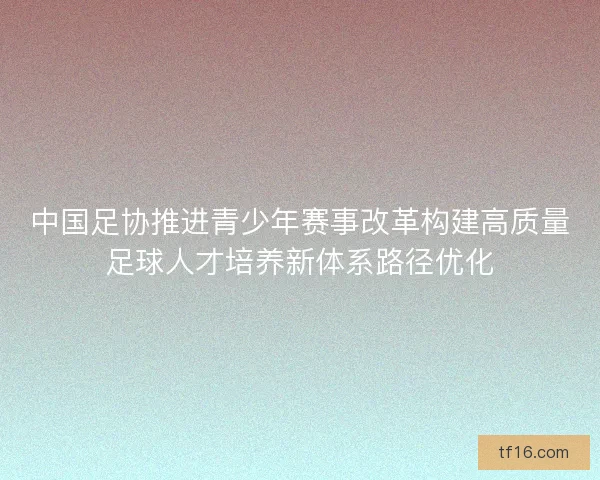 中国足协推进青少年赛事改革构建高质量足球人才培养新体系路径优化